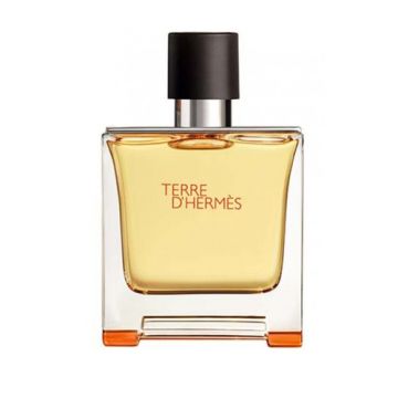 Hermes Terre D'Hermes Pure Parfum 75ml Spray
