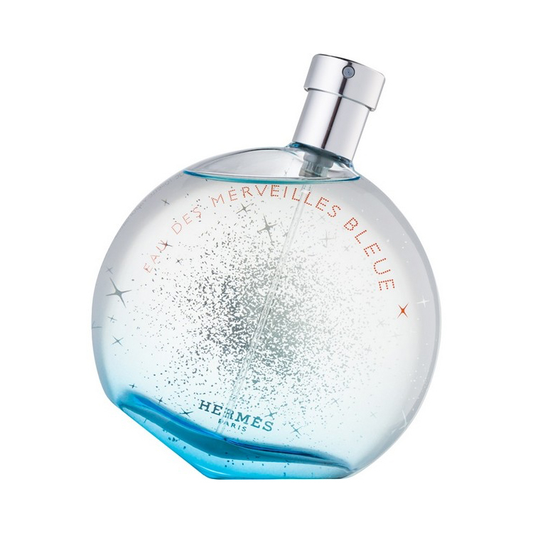 Hermes Eau des Merveilles Bleue Eau De Toilette 100ml Spray