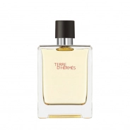 Hermes Terre D'Hermes EDT 100ml | Perfume Price