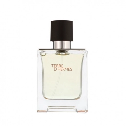 Hermes Terre D'Hermes Eau de Toilette 50ml Spray