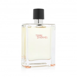 Hermes Terre D'Hermes Eau de Toilette 100ml Spray
