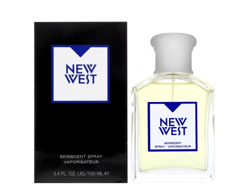 Aramis New West Skinscent EDT 100ml | Perfume Price