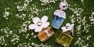 10 Best Men's Perfume of All Time: Timeless Colognes